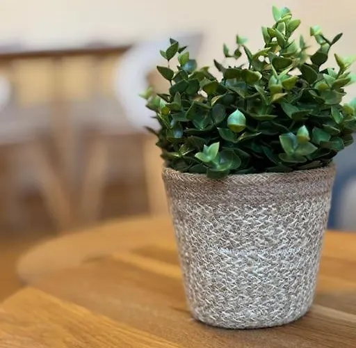 Zentrale In Sova 2 Грац